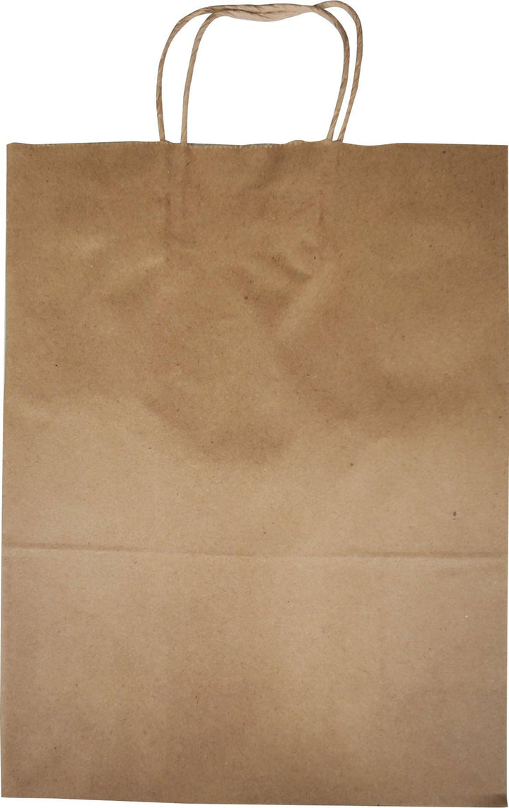Eco-Craze - 10x5x13 Kraft Paper Bag - Twisted Handle - 250 count