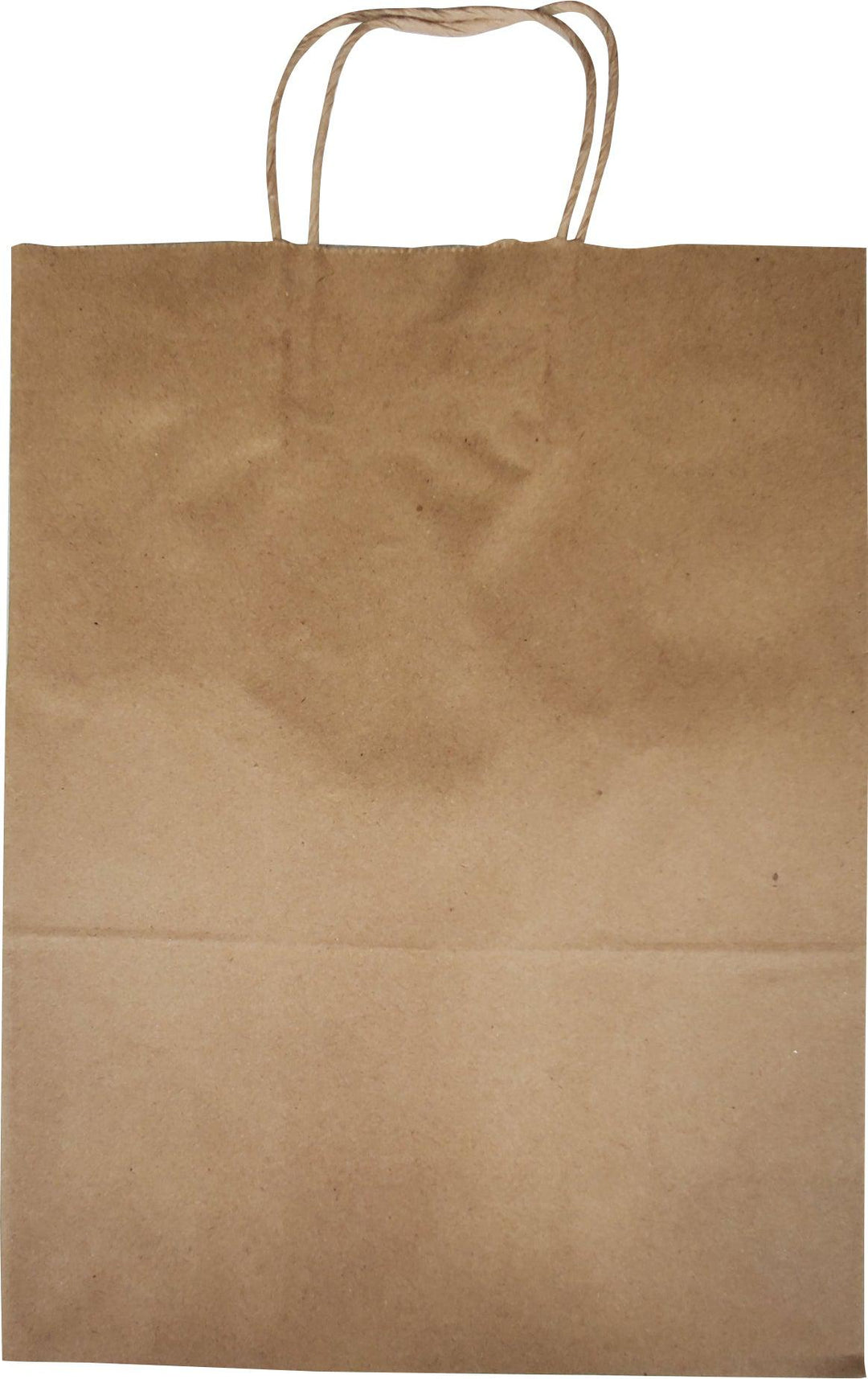 Eco-Craze - 10x5x13 Kraft Paper Bag - Twisted Handle