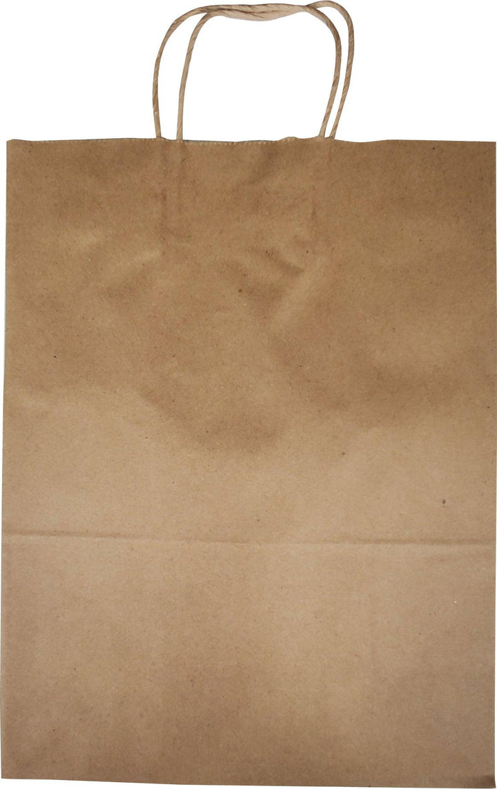 Eco-Craze - 10x5x13 Kraft Paper Bag - Twisted Handle