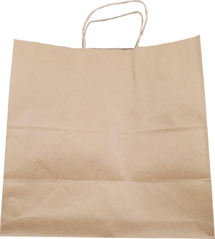 Eco-Craze - 13x7x13 Kraft Paper Bag - Twisted Handle - 250 count