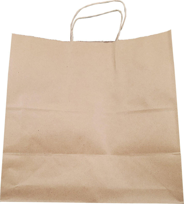 Eco-Craze -13x7x13 Kraft Paper Bag - Twisted Handle