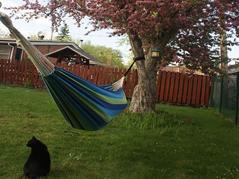 Deluxe Brazilian Style Double Hammock - Part of the Collective Marketplace Collection