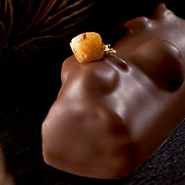 CACAO BARRY Hazelnut Praliné 50% - 5kg
