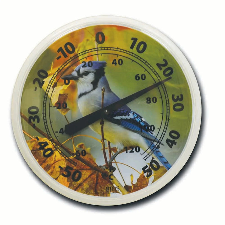 BIOS Weather 12In Dial Thermometers, Maple Leaf - Restaurant Equipment and Smallwares - Canadian Distribution