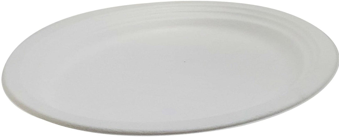 Eco-Craze - 12" Oval Plate - bagasse