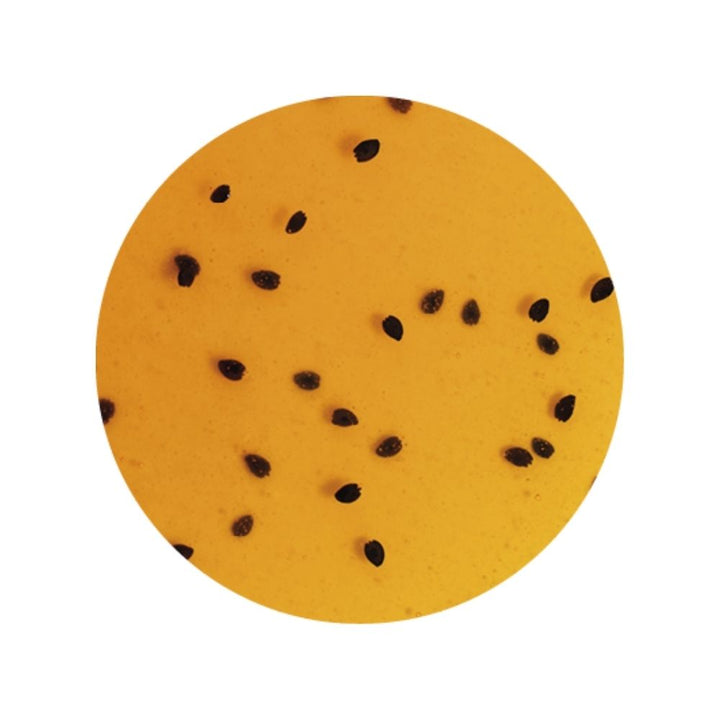 Passion fruit sundae topping texture image