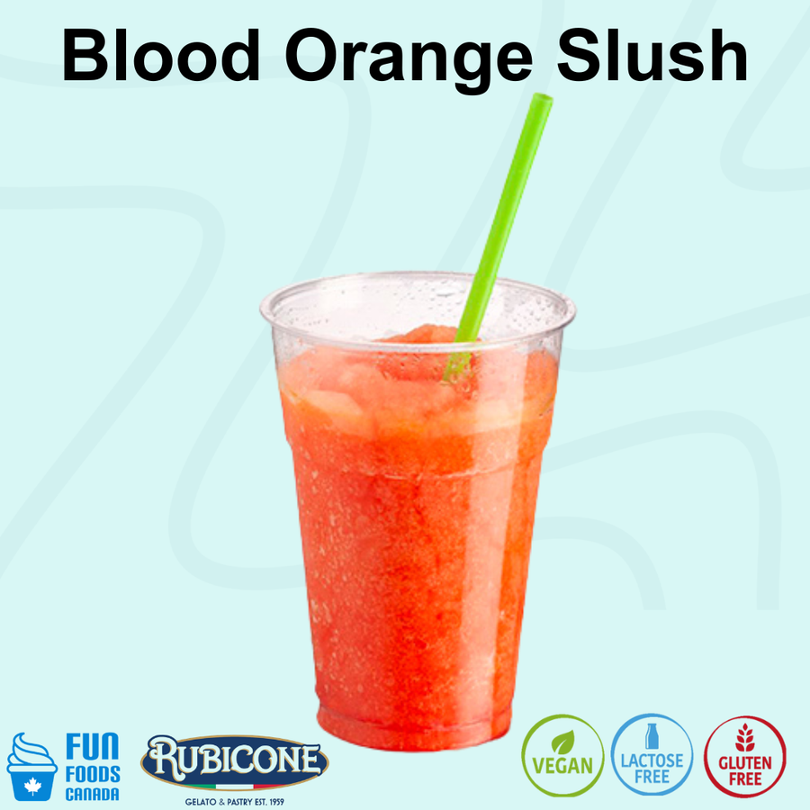 A clear plastic cup filled with a bright orange-red slush drink and a green straw, centered on a light blue background with the text 'Blood Orange Slush' at the top. Fun Foods Canada and Rubicone logos appear at the bottom, along with vegan, lactose free, and gluten free icons.
