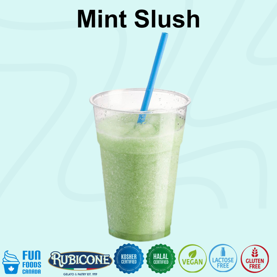 A clear plastic cup filled with a light green mint slush drink and a blue straw, centered on a pale blue background with the text 'Mint Slush' at the top. Brand badges along the bottom include Fun Foods Canada, Rubicone, Kosher Certified, Halal Certified, Vegan, Lactose Free, and Gluten Free.