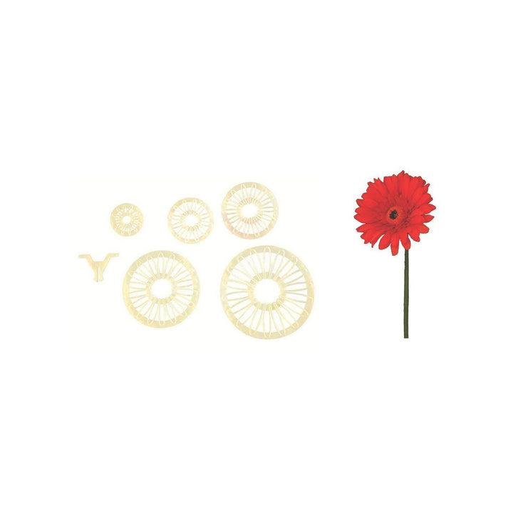 FMM SUGARCRAFT Daisy Collection (set of 6) - Canadian Distribution - Ships Free Within Canada on Orders Above CAD $199