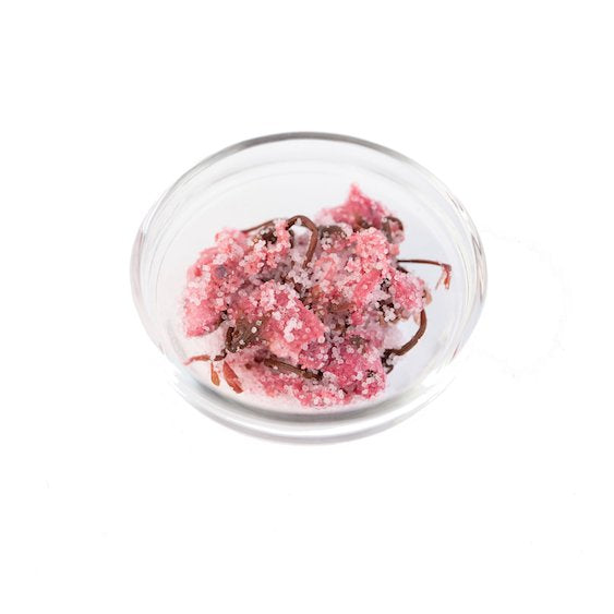Salt-Preserved Sakura (Cherry Blossom) Flowers - 500g