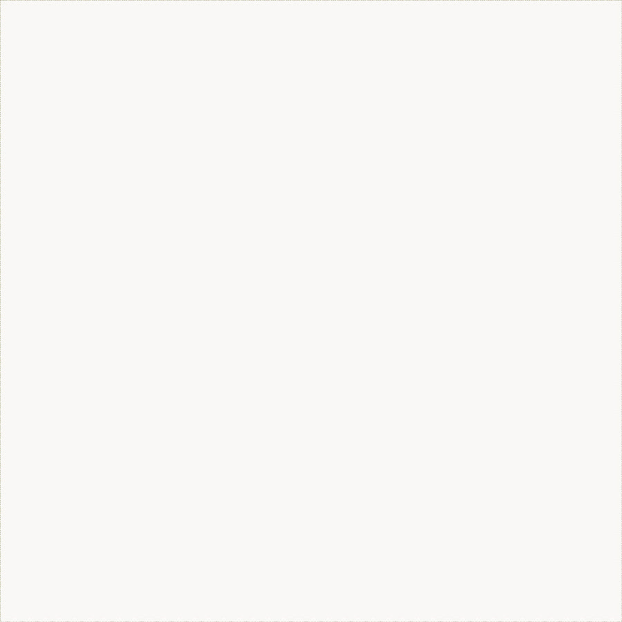 Pastel White Food Colouring Powder – Fat-Soluble & Natural - Canadian Distribution - Ships Free Within Canada on Orders Above CAD $199