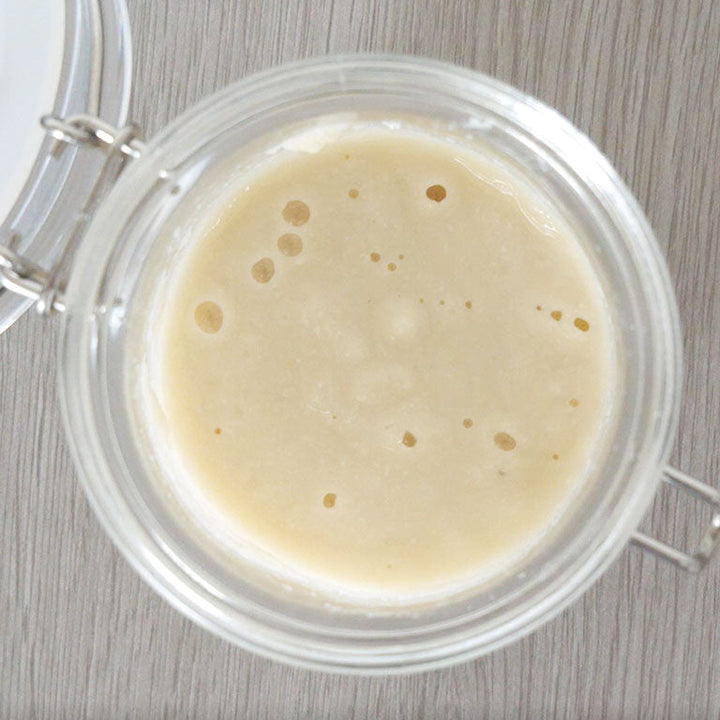 HOSHINO Natural Bread Starter (Japanese Bread Yeast) - Canadian Distribution - Ships Free Within Canada on Orders Above CAD $199