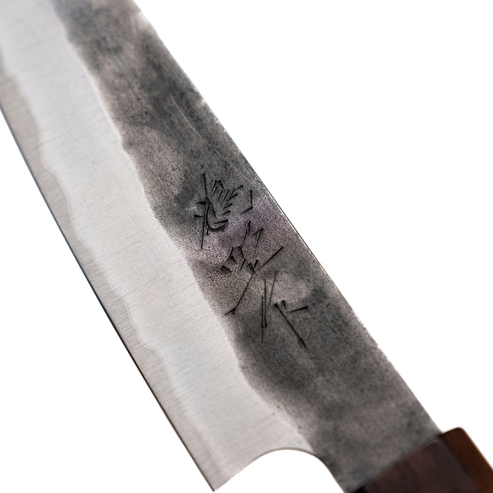 Kenshiro Hatono AO Petit 135 mm