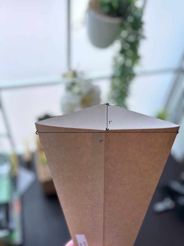 Paper Cones Disposable Takeout Packaging Canada