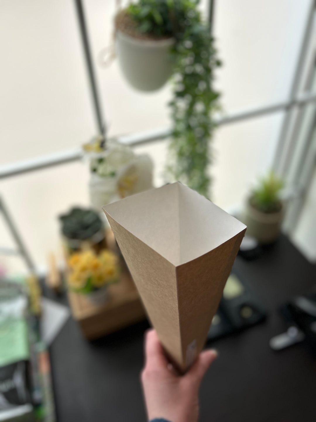 Paper Cones Disposable Takeout Packaging Canada Distributor
