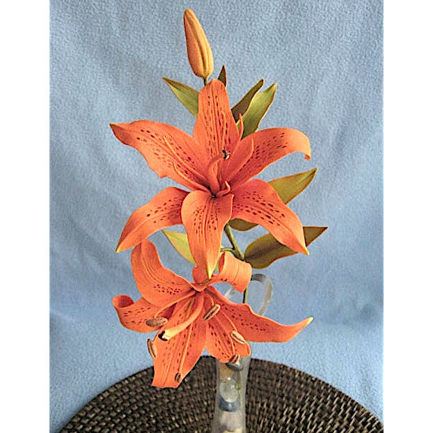SUNFLOWER SUGAR ART Emporte-pièce Lys Tigré (Liquidation) - Distribution canadienne - Livraison gratuite au Canada pour les commandes de plus de 199 CAD