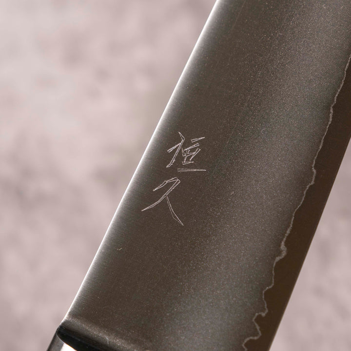 Tsunehisa Migaki VG-1 Gyuto 210 mm
