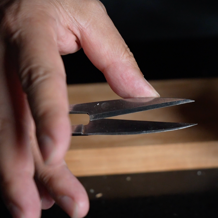 KADO ICHIKA Stainless Steel Wagashi Scissors