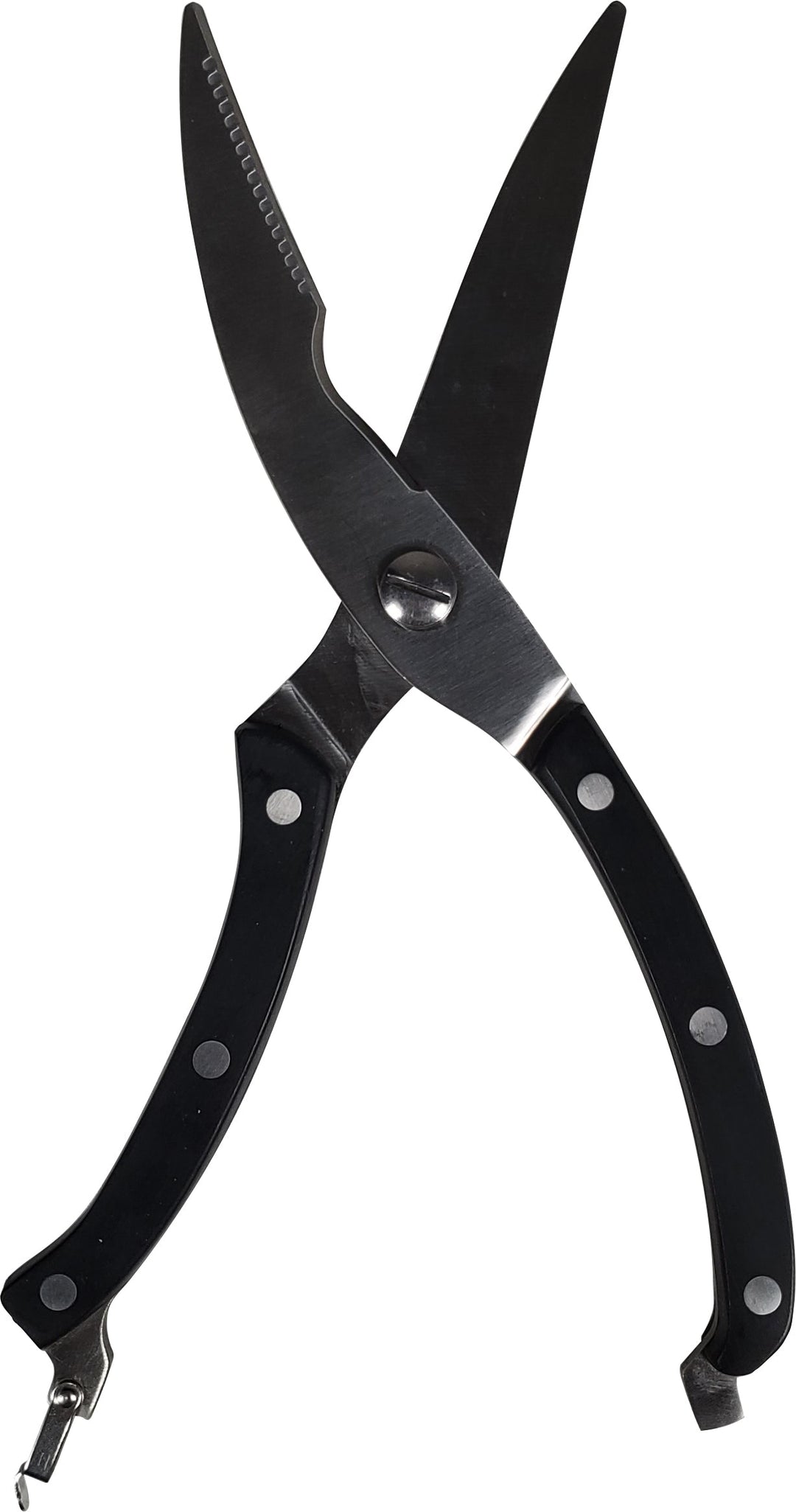 Magnum - Poultry Shears S/S Spring Action 10"