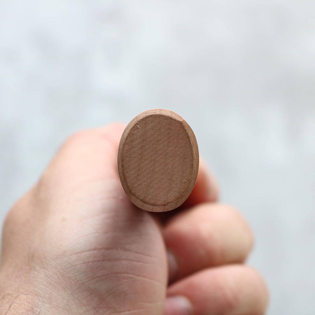 Muneishi AS Kurouchi Damas Kiritsuke 210 mm