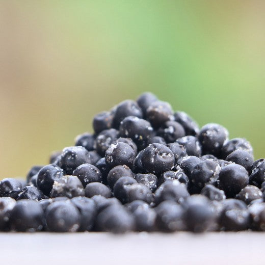 Fresh Salted Kampot Pepper – Organic Whole Peppercorns by La Plantation - 1kg