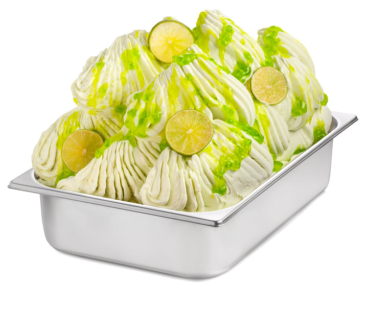 Lime-flavored gelato ice cream with lime slices in a metal container on a white background by Rubicone Canada