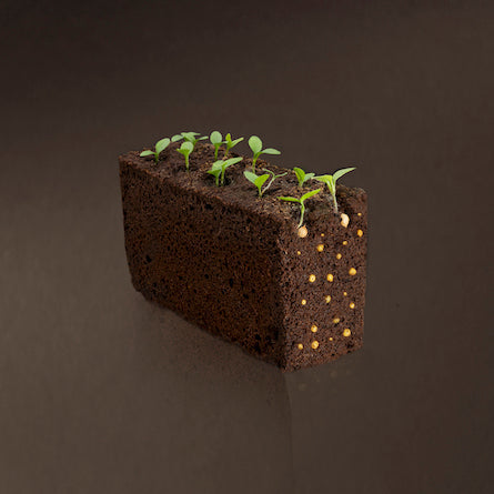 VERITABLE Lingot, Cayenne Hot Chili - Canadian Distribution - Ships Free Within Canada on Orders Above CAD $199