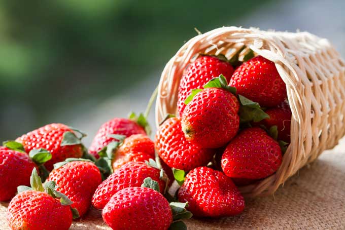 Garniture de coupe glacée aux fraises | Sirops et sauces Phillips | Les essentiels de la crème glacée | Service alimentaire Canada