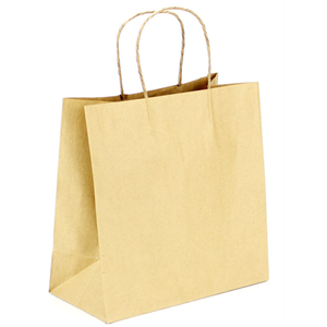 Paper Bag with Twisted Handle