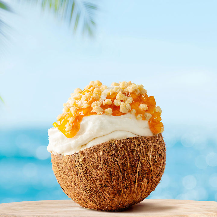 Pregel - Coconut CrumbOlé - Gluten-Free - (2 x 3.5kg Case) - Canadian Distribution