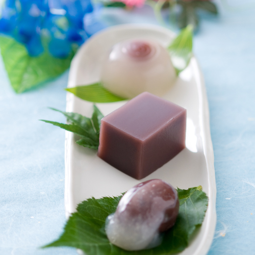 QUEEN ROSE S/S Egg Tofu/Kanten Jelly Mould with Partition, 8.9" x 5.3"