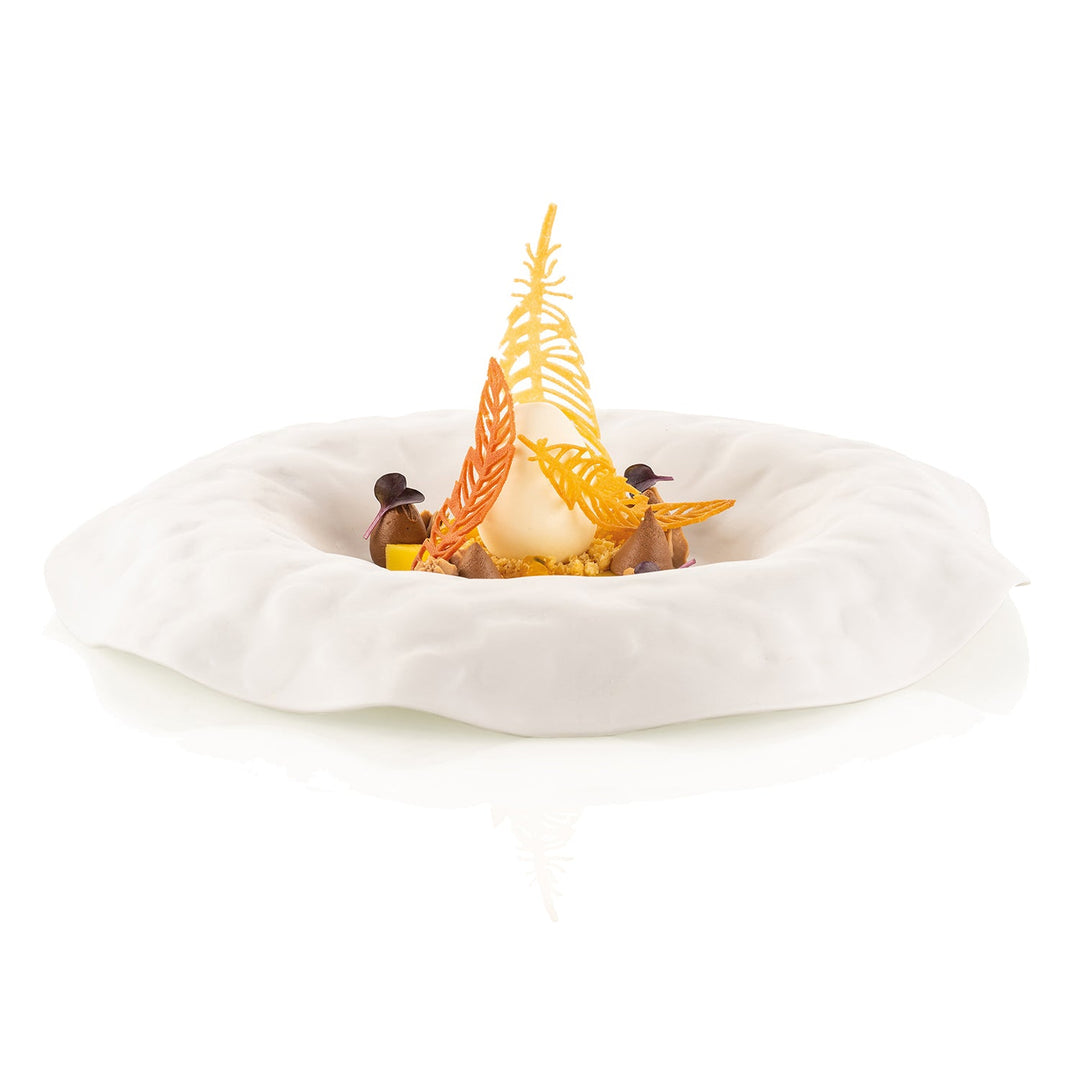 SILIKOMART Piuma Silicone Decor Mould for Tuile and Chocolate - Canadian Distribution - Ships Free Within Canada on Orders Above CAD $199
