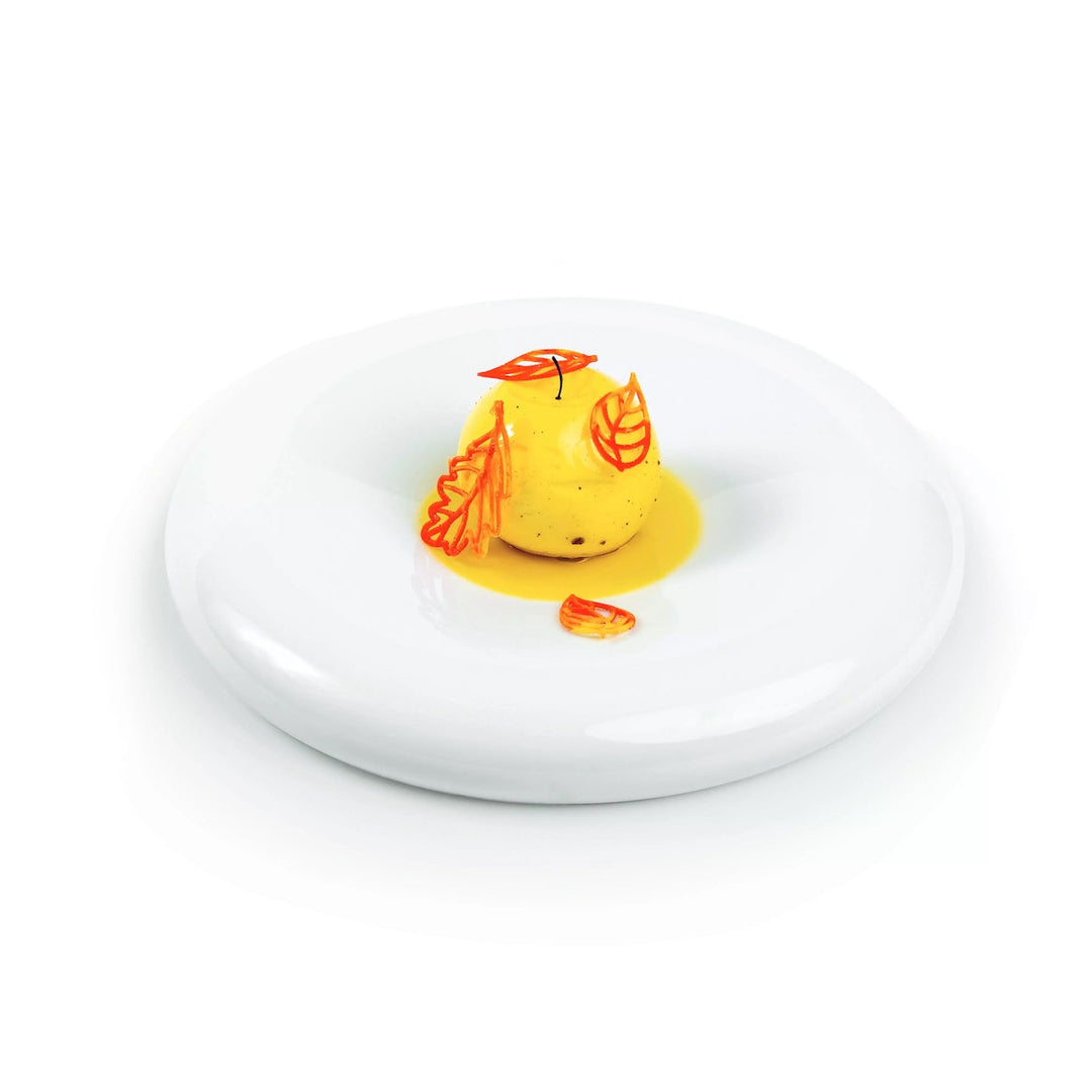 SILIKOMART Taiga Silicone Decor Mould for Tuile and Chocolate - Canadian Distribution - Ships Free Within Canada on Orders Above CAD $199