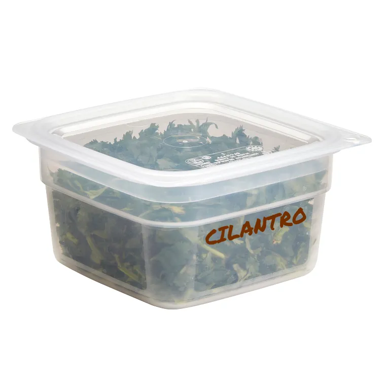 Container of cilantro with a clear lid on a white background