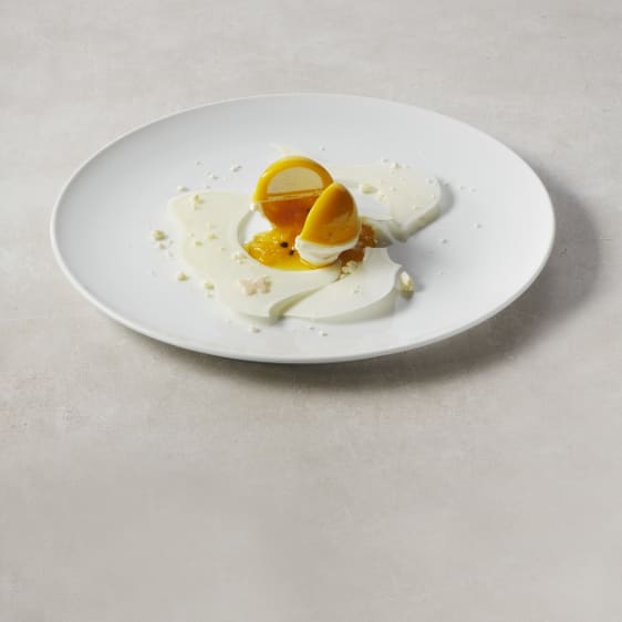 VALRHONA Passion Inspiration – Fruit Chocolate Couverture - 500g/3kg