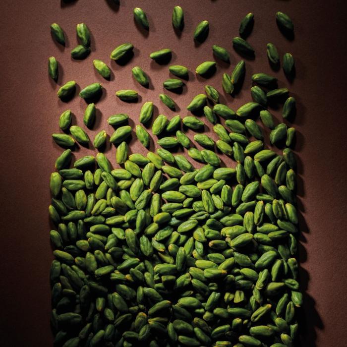 VALRHONA Pistachio Praliné 42% - Canadian Distribution - Ships Free Within Canada on Orders Above CAD $199