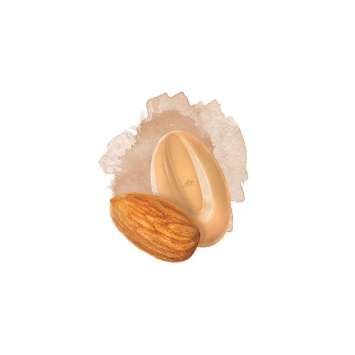 VALRHONA Almond Inspiration – Nuts Chocolate Couverture - 3kg