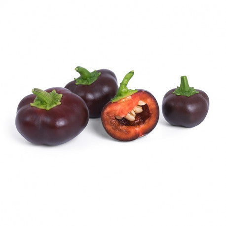 VERITABLE Lingot, Organic Mini Chocolate Bell Pepper - Canadian Distribution - Ships Free Within Canada on Orders Above CAD $199