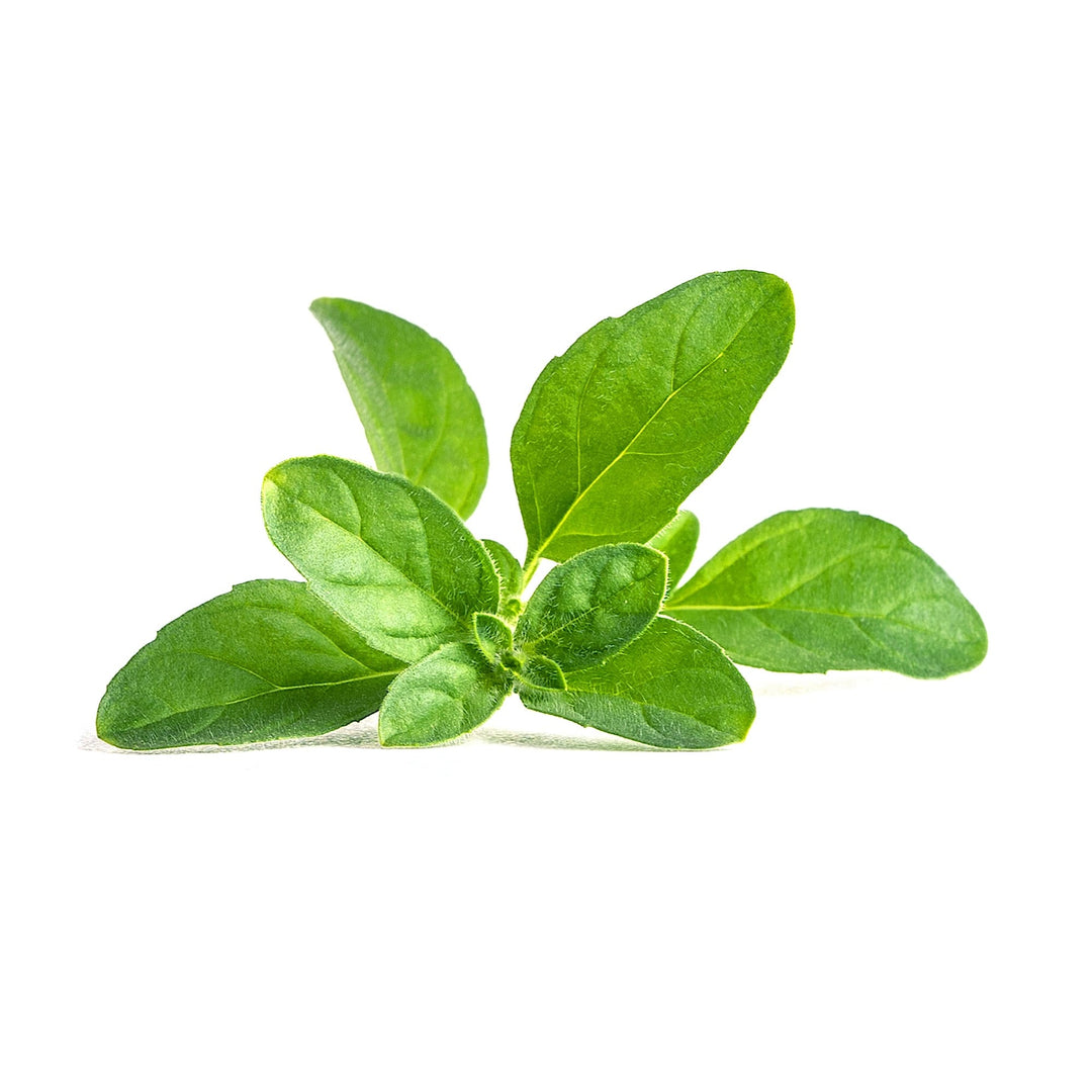 VERITABLE Lingot, Pennyroyal Mint - Canadian Distribution - Ships Free Within Canada on Orders Above CAD $199