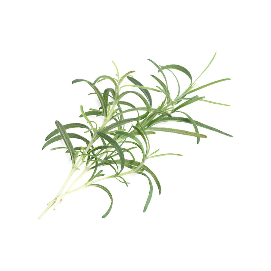 VERITABLE Lingot, Rosemary - Canadian Distribution - Ships Free Within Canada on Orders Above CAD $199