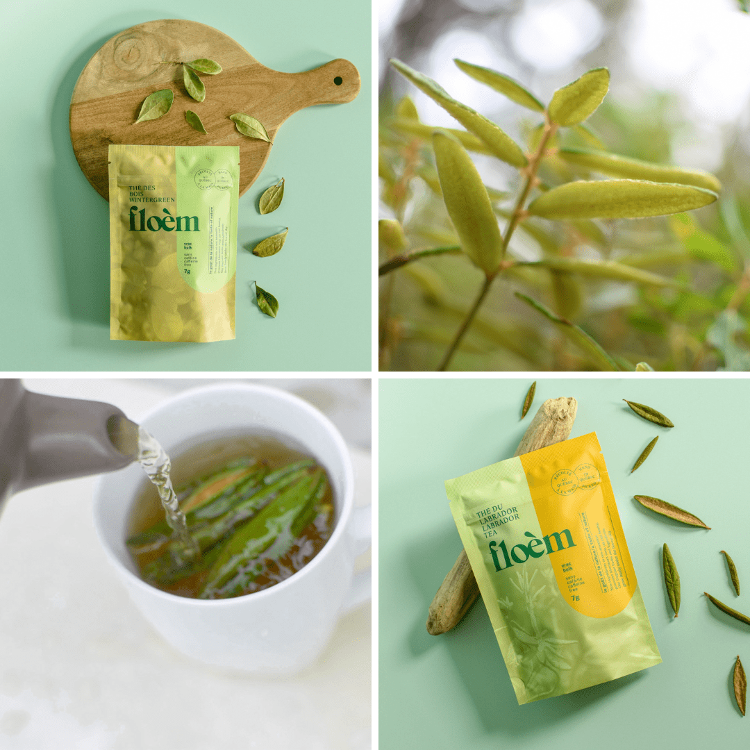 Ensemble de tisane - Ensemble complet, pack de variétés - Part of the Collective Marketplace Collection