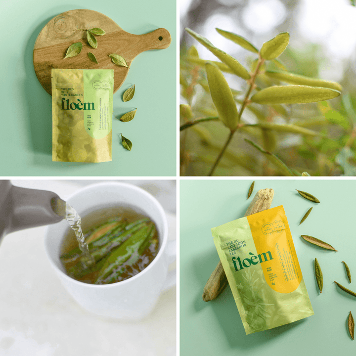 Ensemble de tisane - Ensemble complet, pack de variétés - Part of the Collective Marketplace Collection