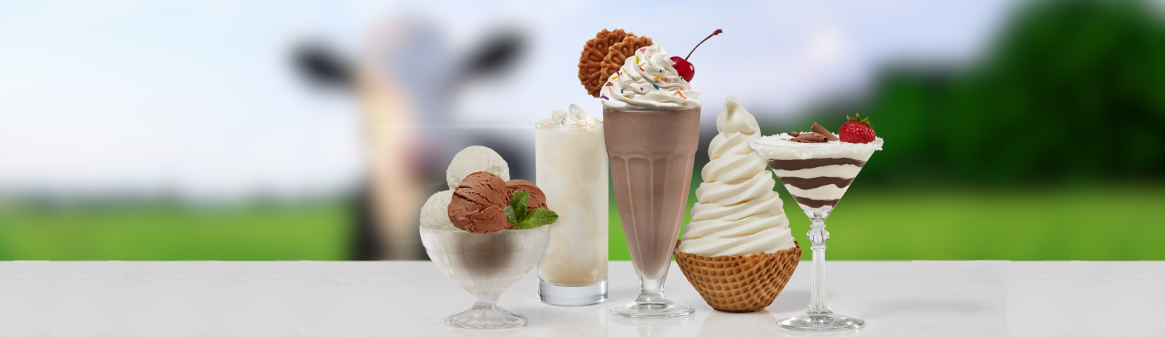 Frostline Soft Serve Ice Cream Mix, Lactose-Free, Gluten-Free, Kosher in Canada