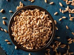 Grain Specialty Farro Kernels Whole - 3 x 1 kg - David Roberts - Restaurant and Foodservice Ingredients - Canadian Distribution