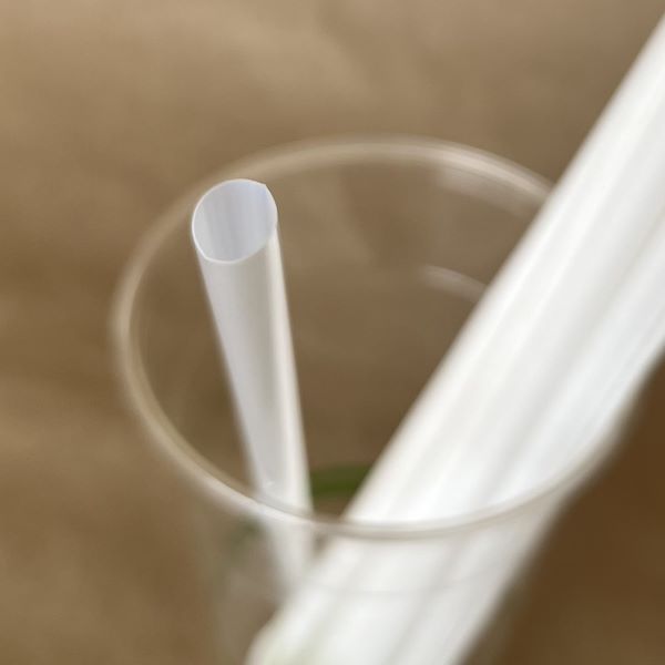 Translucent Jumbo Straw 5/16"dia/10"long/Wrapped/2000cs/50per pk BPI - Disposable Take Away Food Packaging - Canadian Distribution