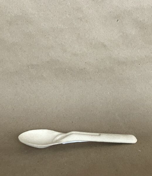 5.5" Natural Sugarcane Spoon  1000cs - Disposable Take Away Food Packaging - Canadian Distribution
