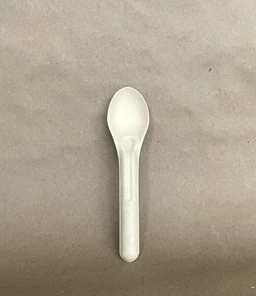 5.5" Natural Sugarcane Spoon  1000cs
