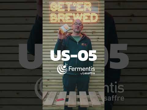 Fermentis | SafAle™ US-05 American Ale | Dry Beer Yeast