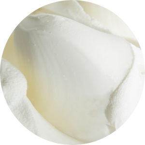 PreGel - SetaGel Vellutina Stabilizer (2 x 3kg)